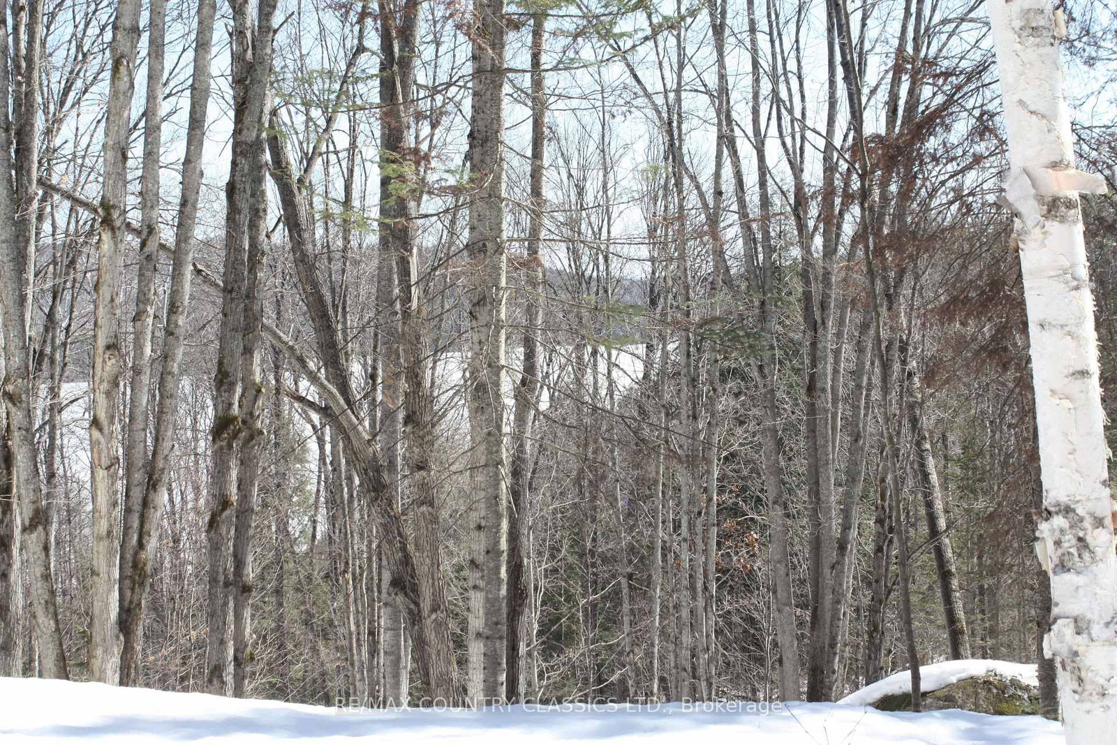 790 Mitchell Road • Barry's Bay, ON photo 13