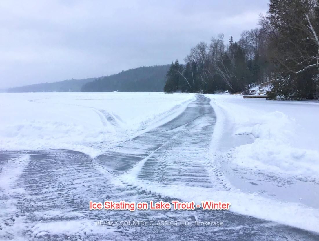 790 Mitchell Road • Barry's Bay, ON photo 17