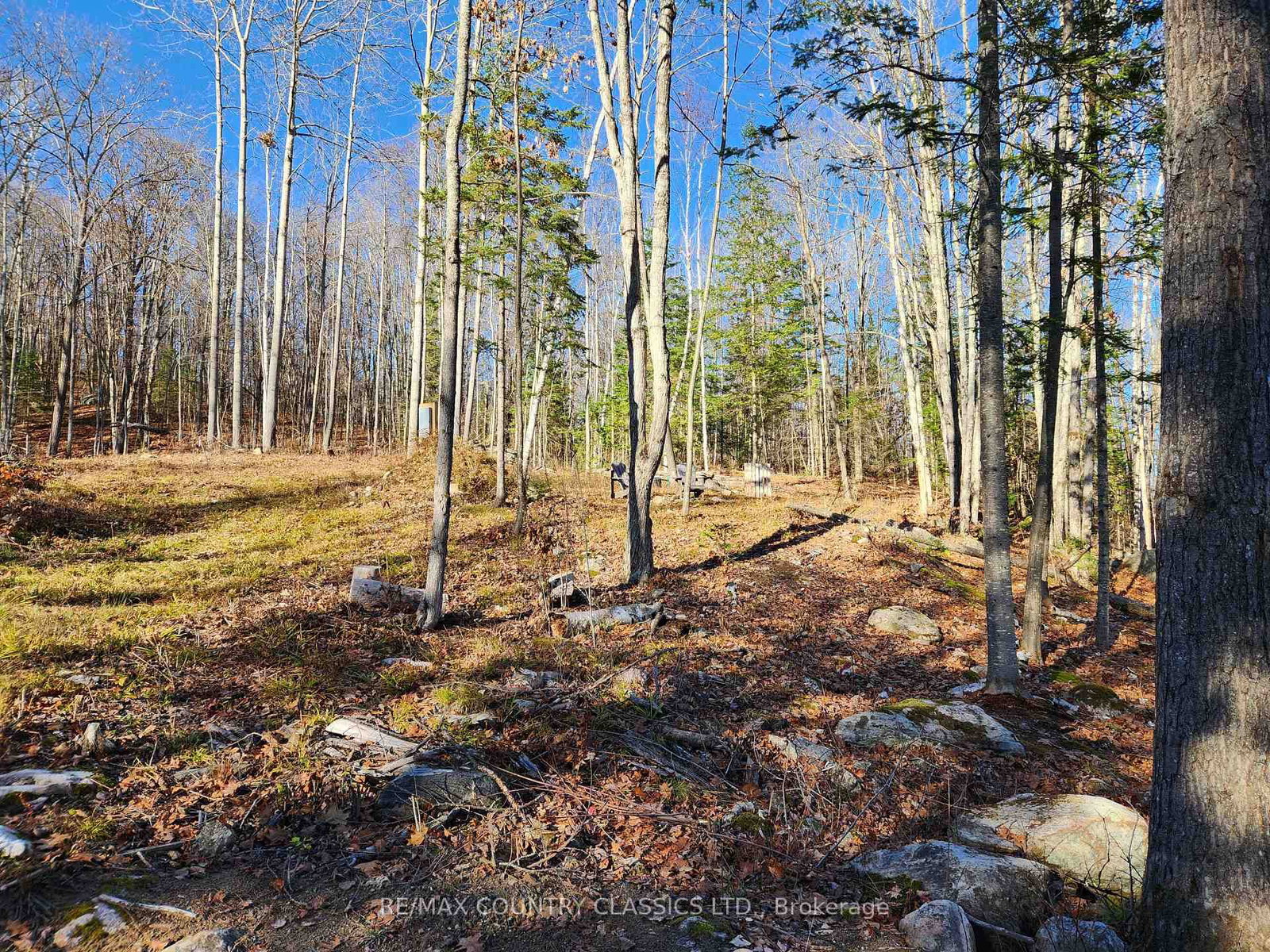 790 Mitchell Road • Barry's Bay, ON photo 2