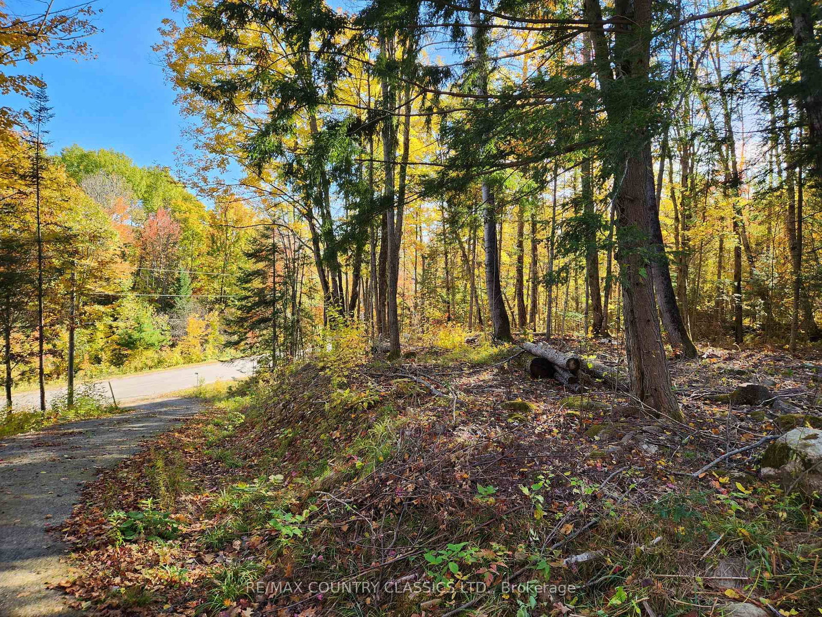790 Mitchell Road • Barry's Bay, ON photo 3