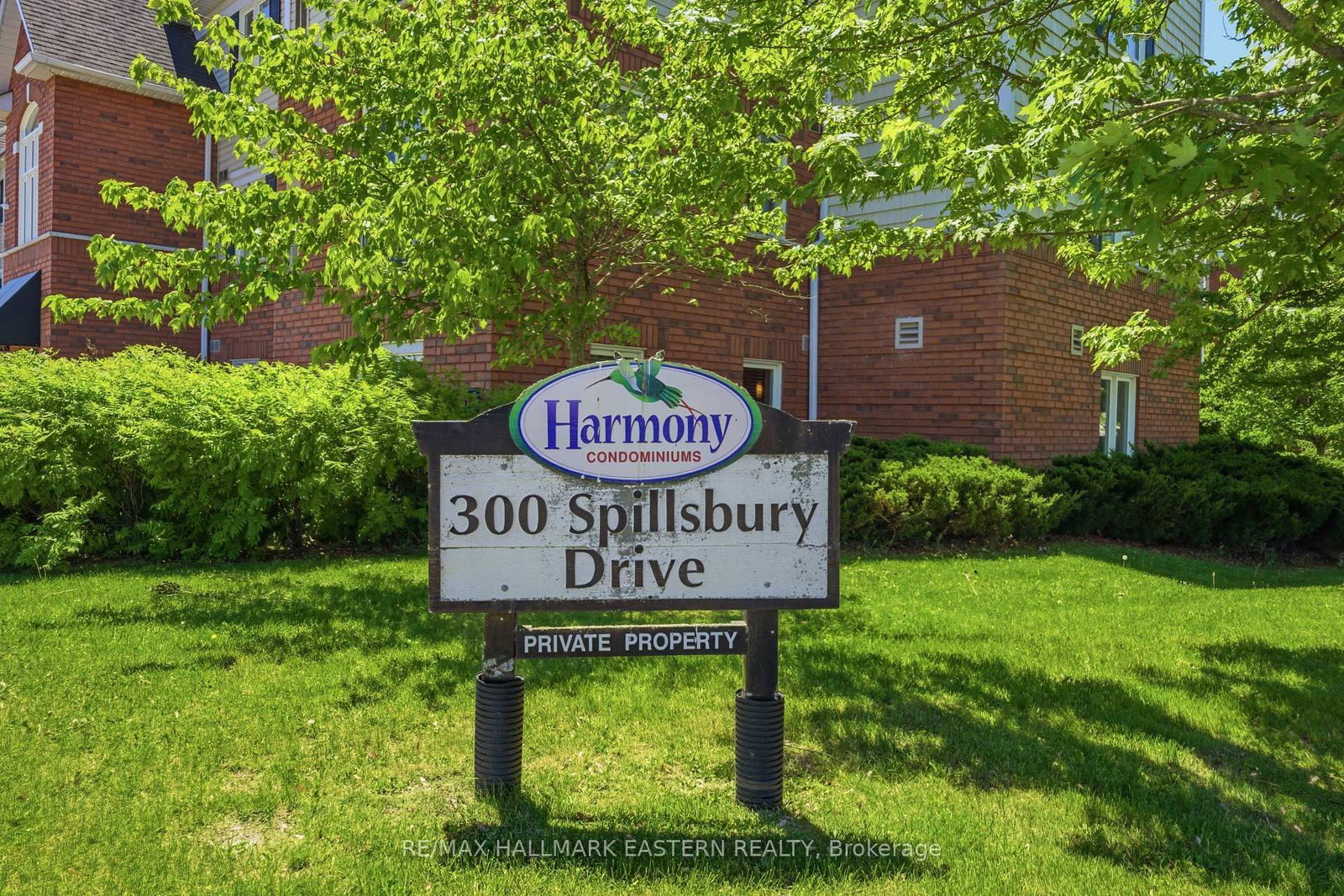 300 Spillsbury Drive • #101 • Peterborough, ON photo 2