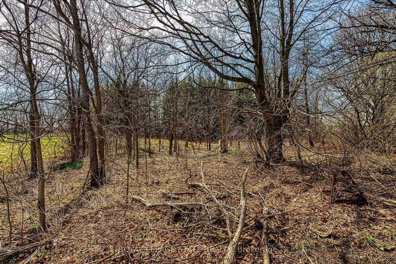 521 Baptist Church Road • Brant, ON photo 26