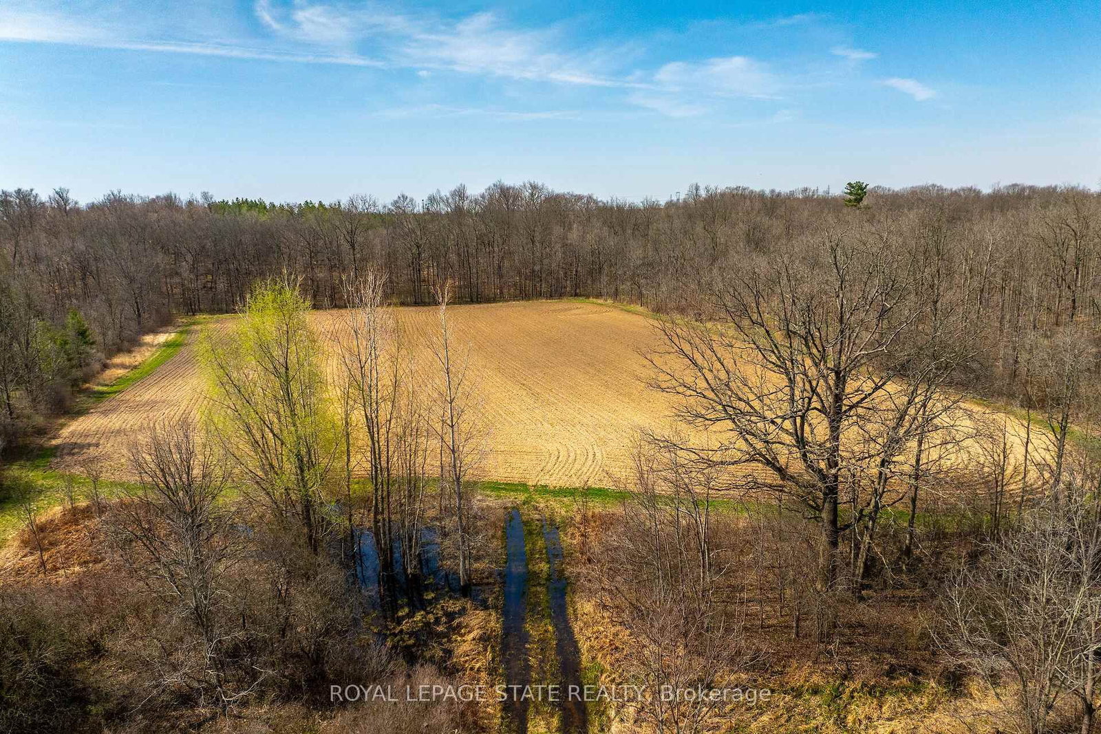 521 Baptist Church Road • Brant, ON photo 31