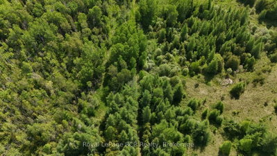 113543 GREY ROAD 14 Road N — photo 4