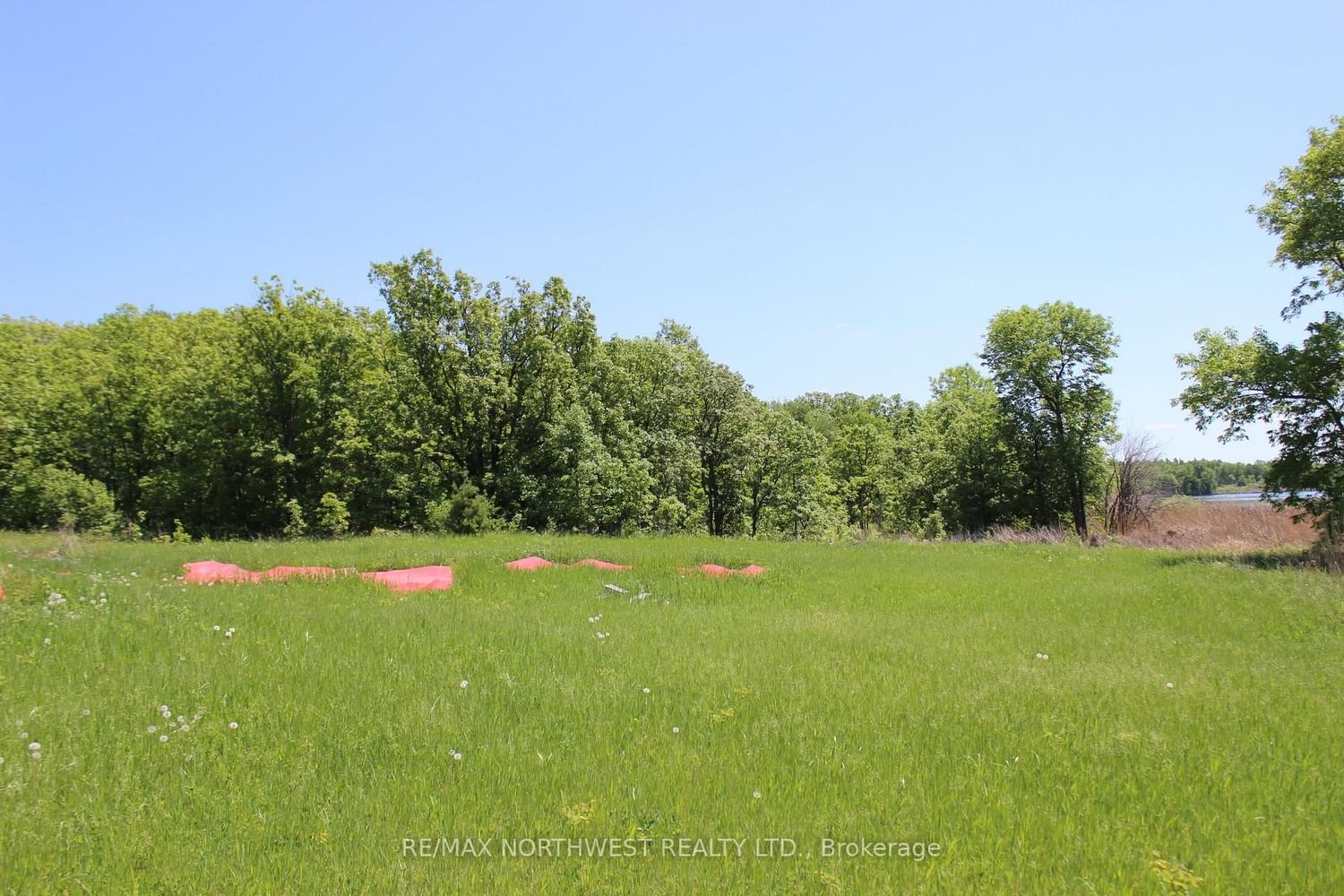 222 MORRISON RD • Lake of the Woods, ON photo 12