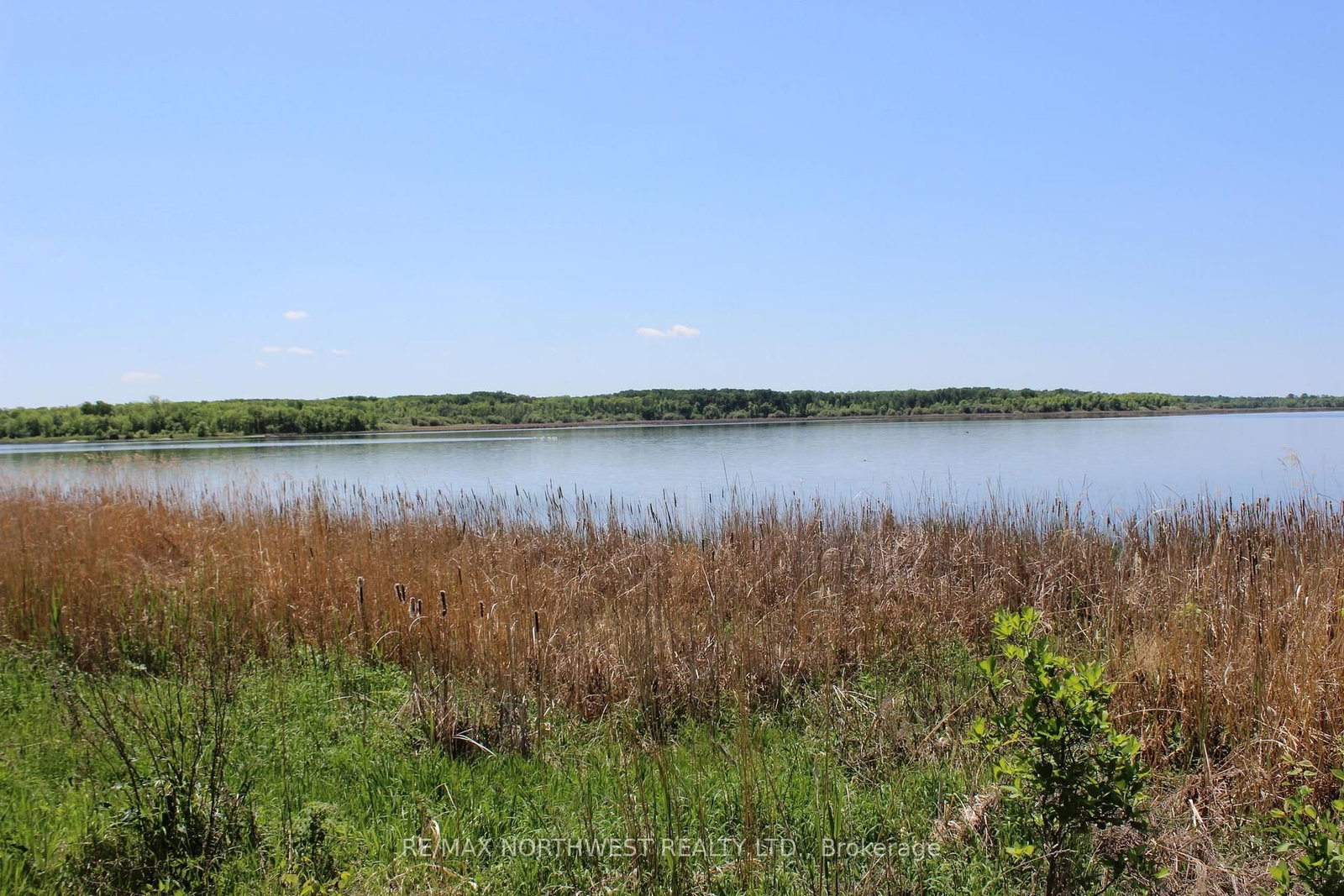222 MORRISON RD • Lake of the Woods, ON photo 2