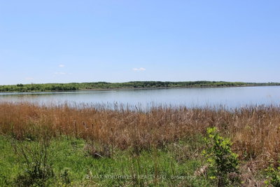 222 MORRISON RD • Lake of the Woods, ON photo 2