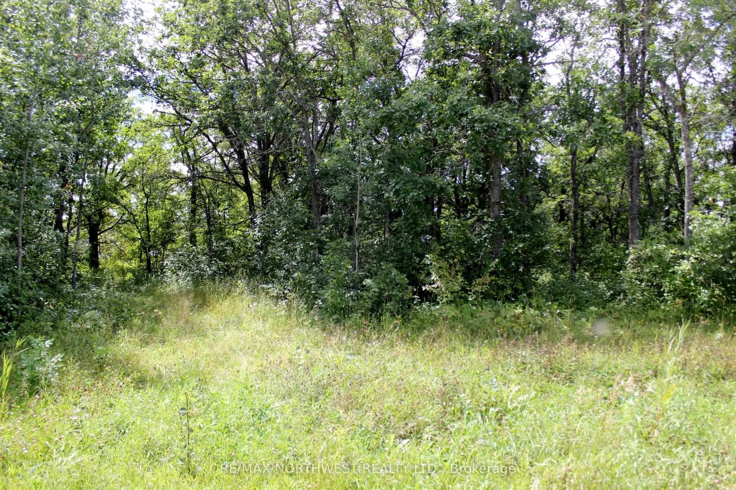 222 MORRISON RD • Lake of the Woods, ON photo 29