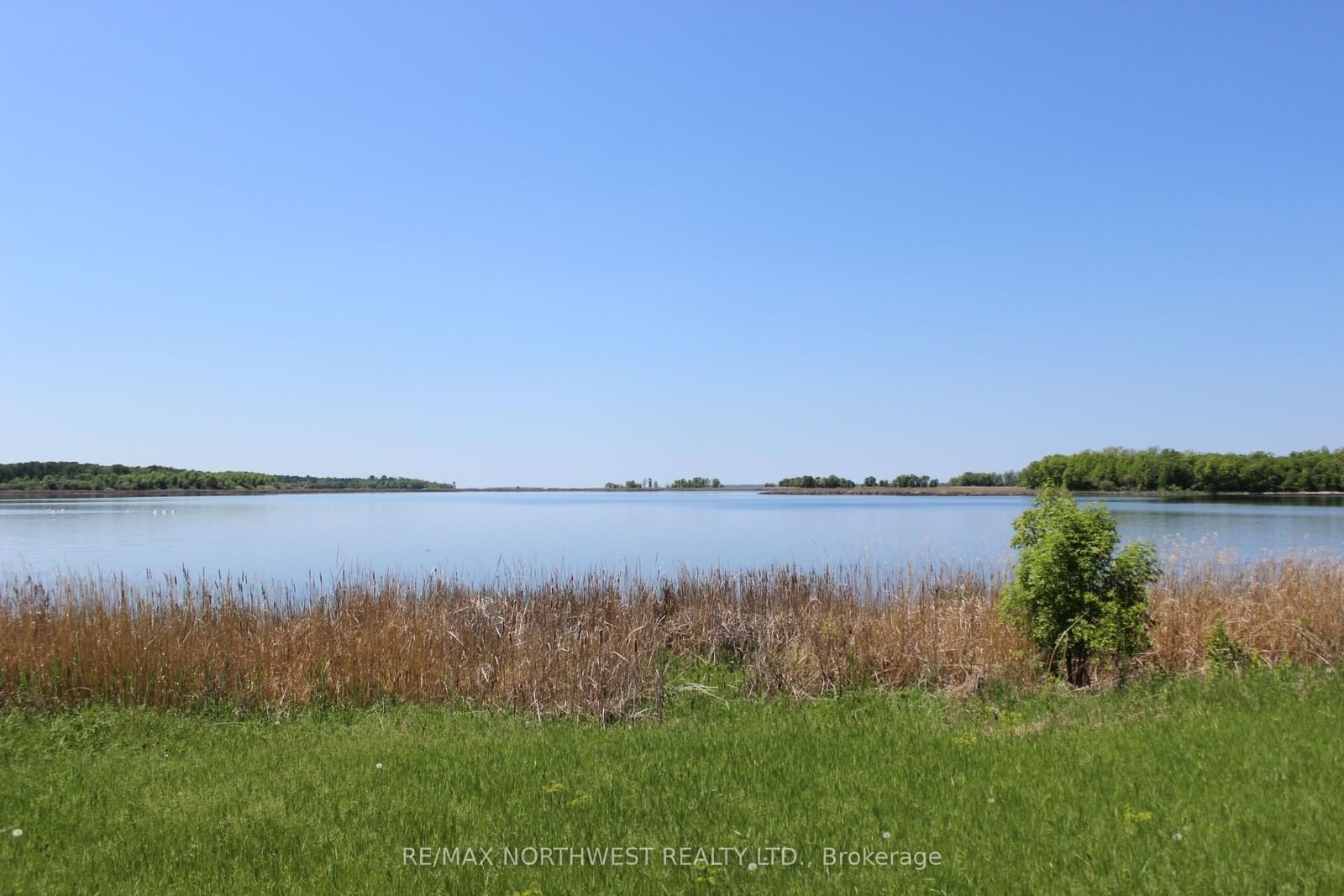 222 MORRISON RD • Lake of the Woods, ON photo 3