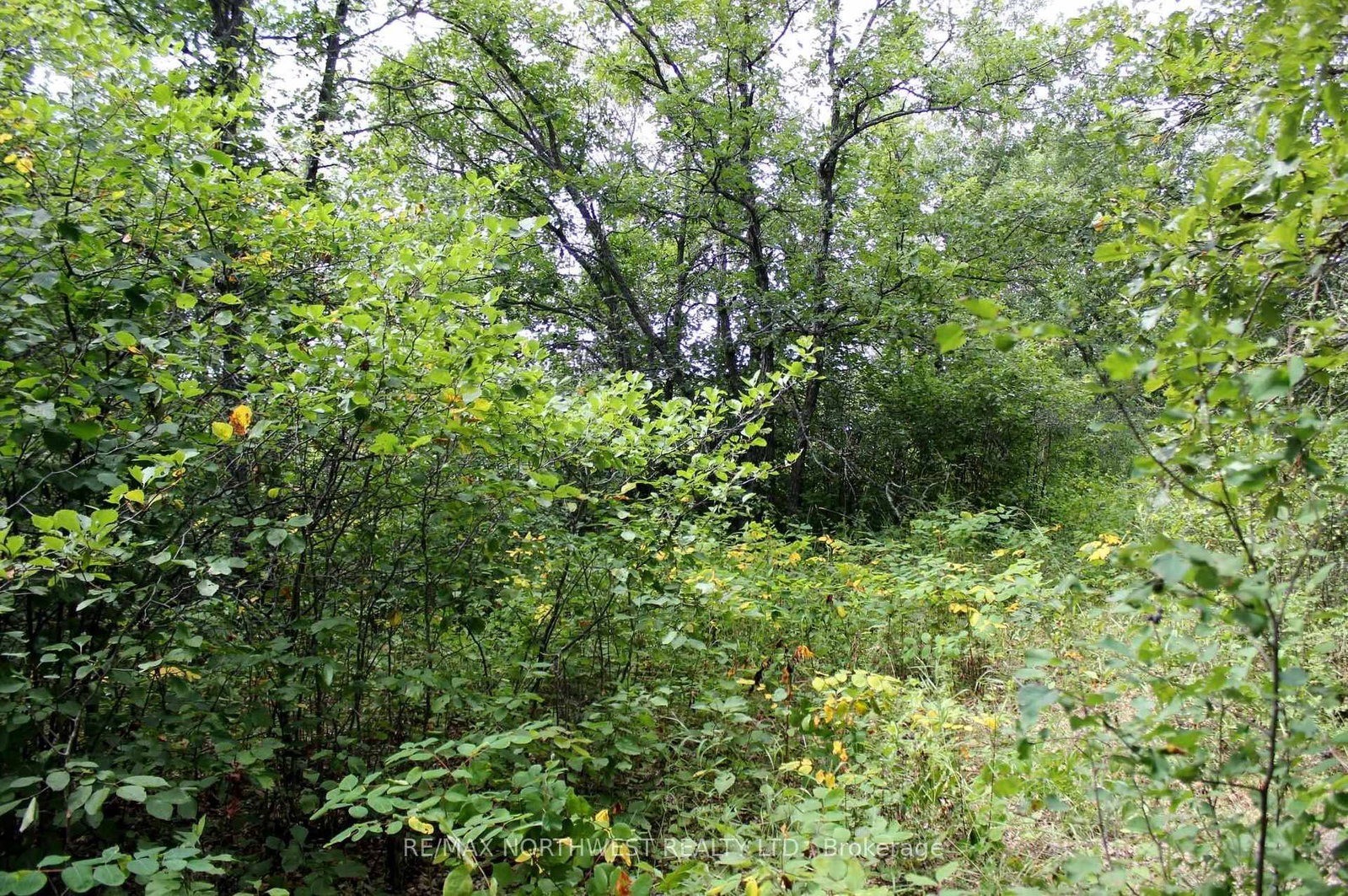 222 MORRISON RD • Lake of the Woods, ON photo 30