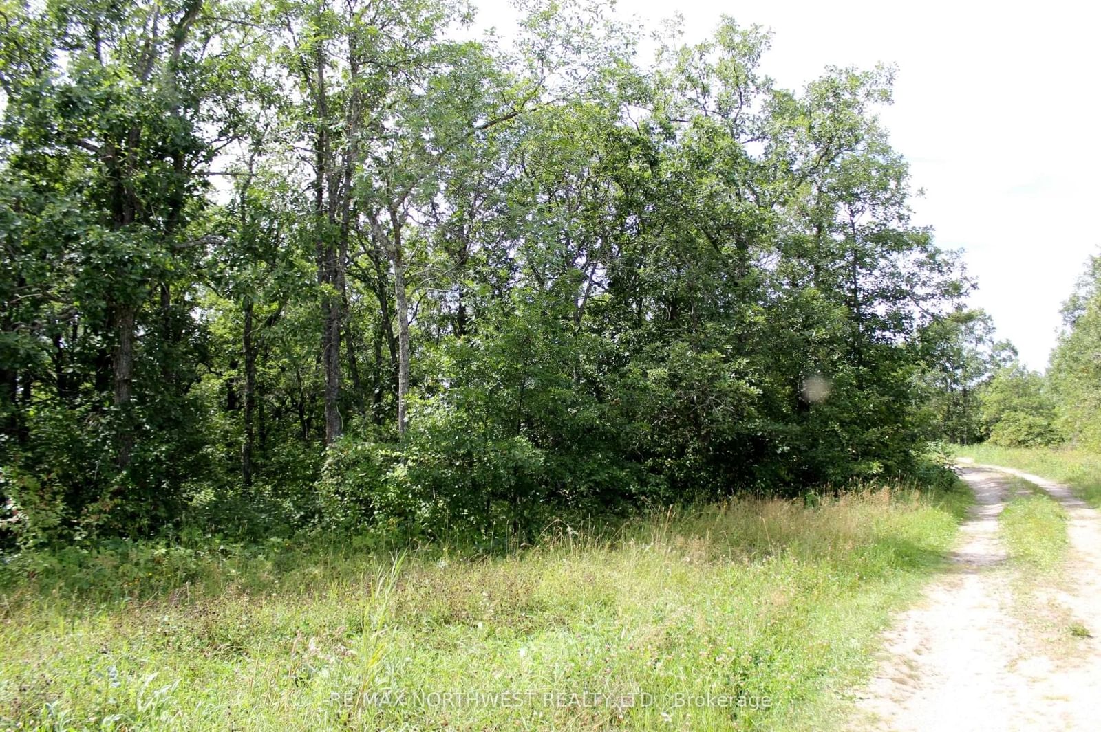 222 MORRISON RD • Lake of the Woods, ON photo 31