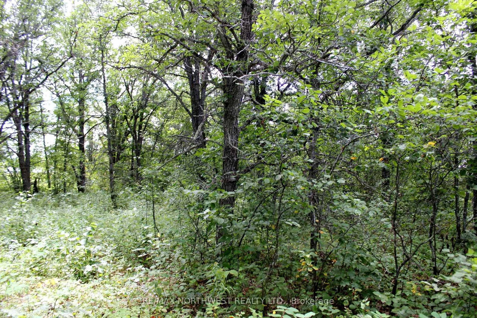 222 MORRISON RD • Lake of the Woods, ON photo 35