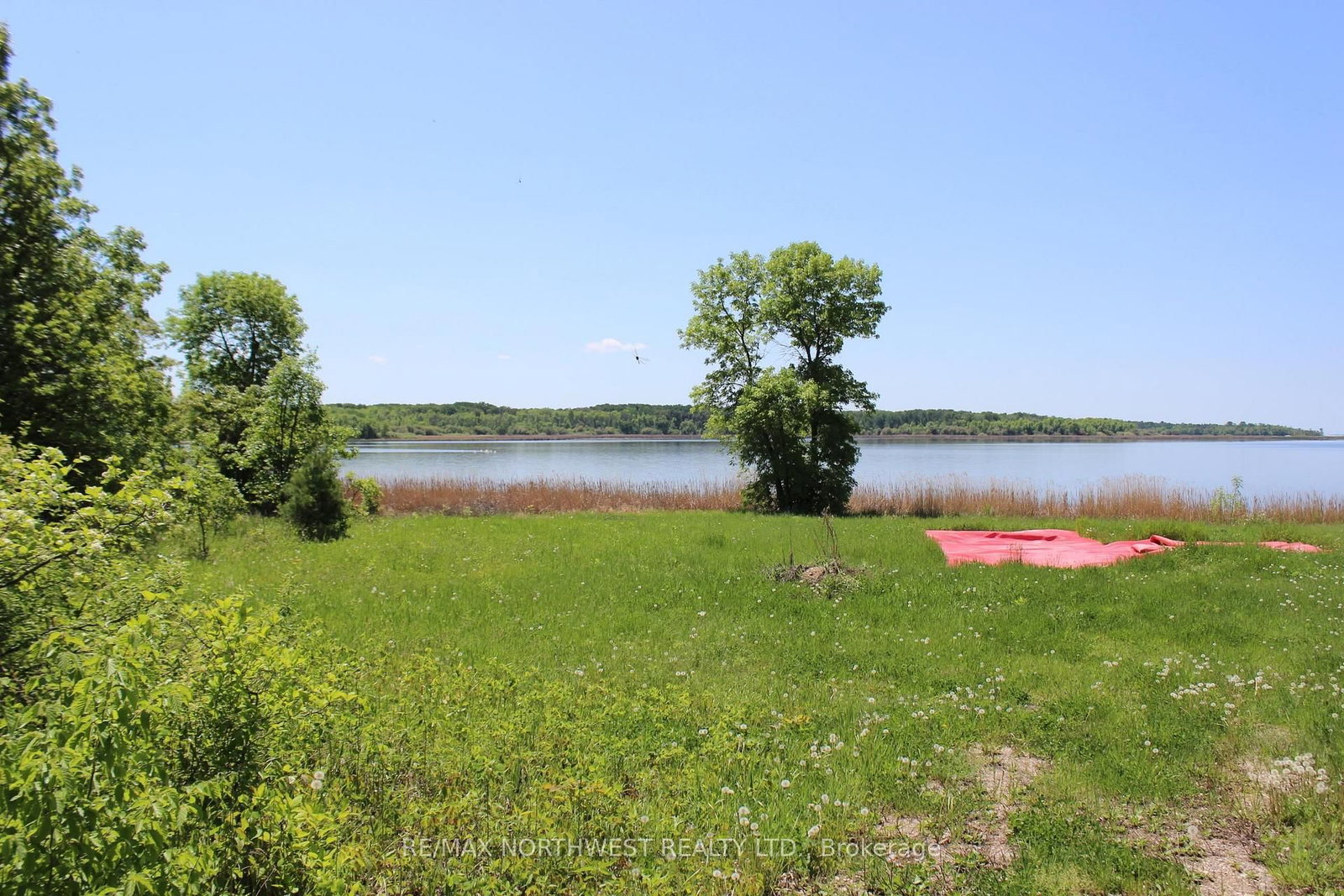 222 MORRISON RD • Lake of the Woods, ON photo 6