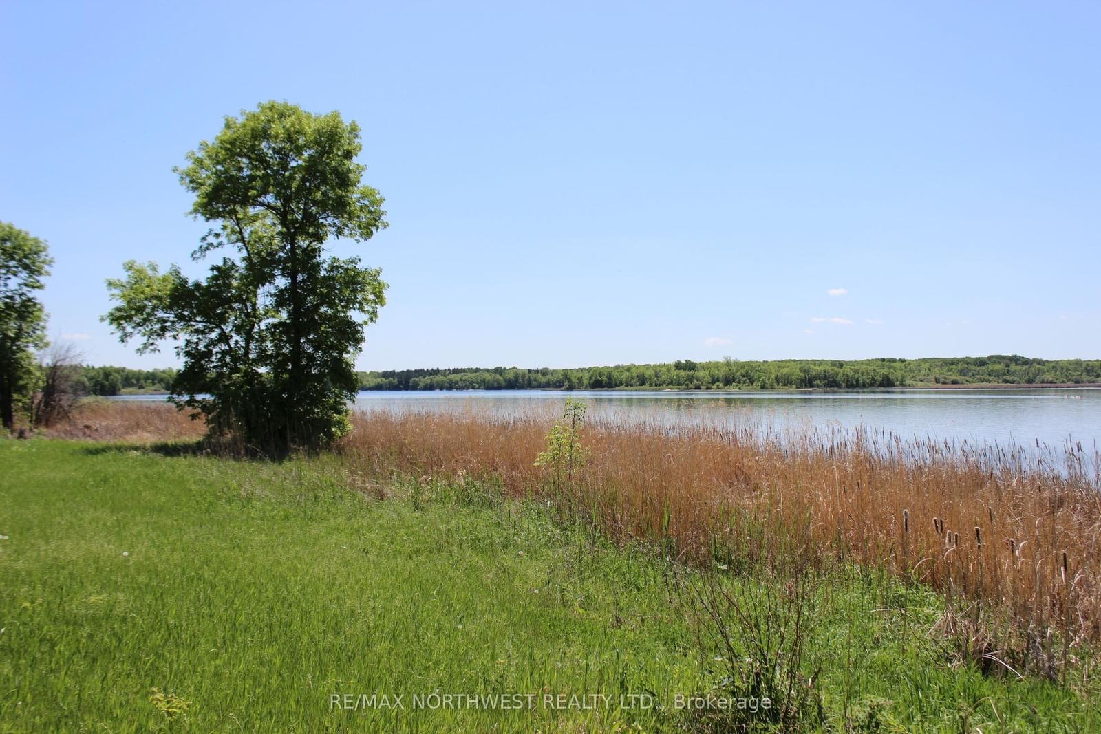 222 MORRISON RD • Lake of the Woods, ON photo 7