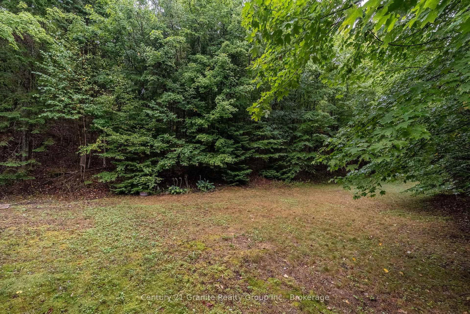19221 Highway 118 • Highlands East, ON photo 48