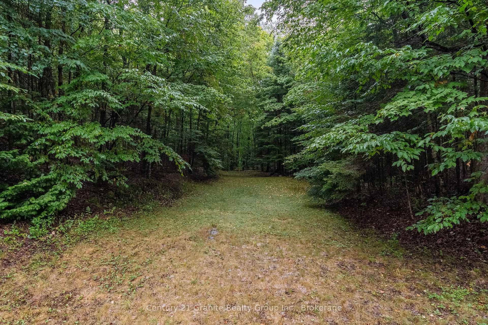 19221 Highway 118 • Highlands East, ON photo 49