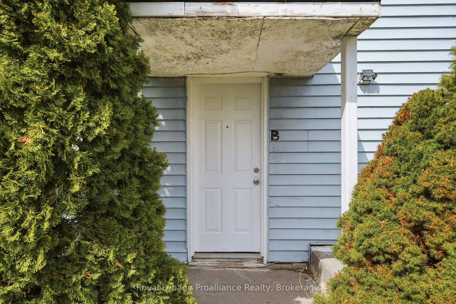 199 Dundas Street E • Quinte West, ON photo 5