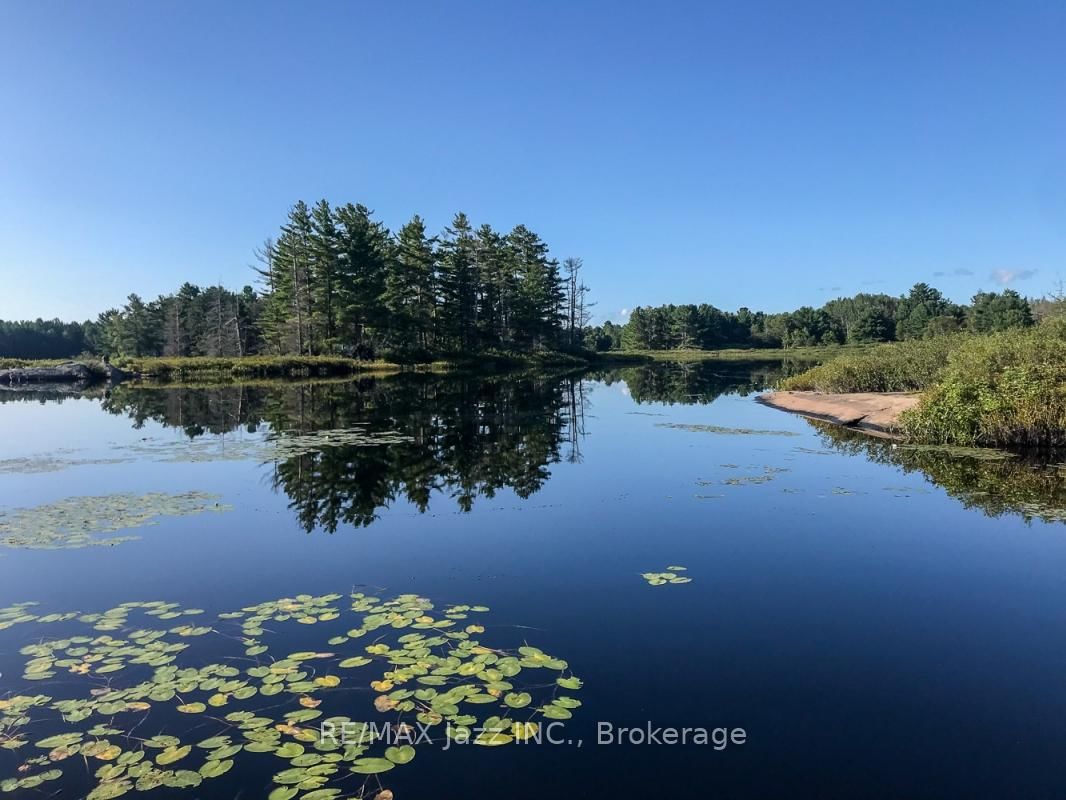 1314 Shebeshekong Road • Carling, ON photo 2