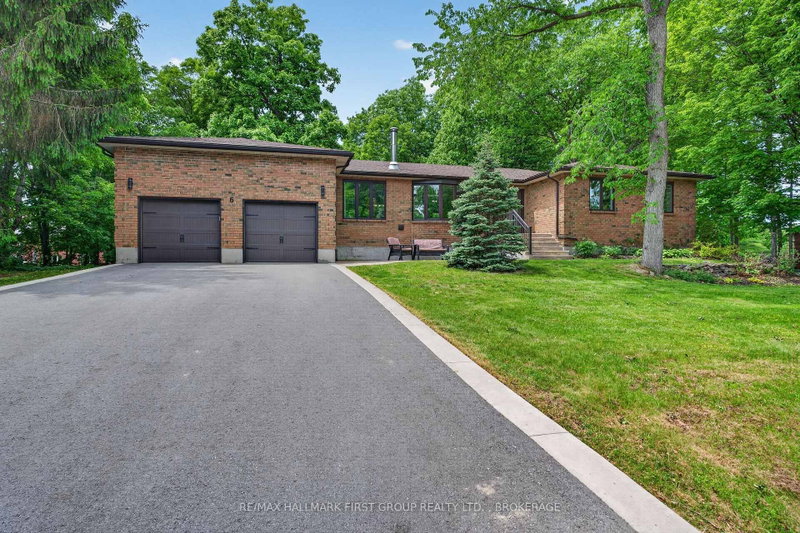 6 Wilmot Street