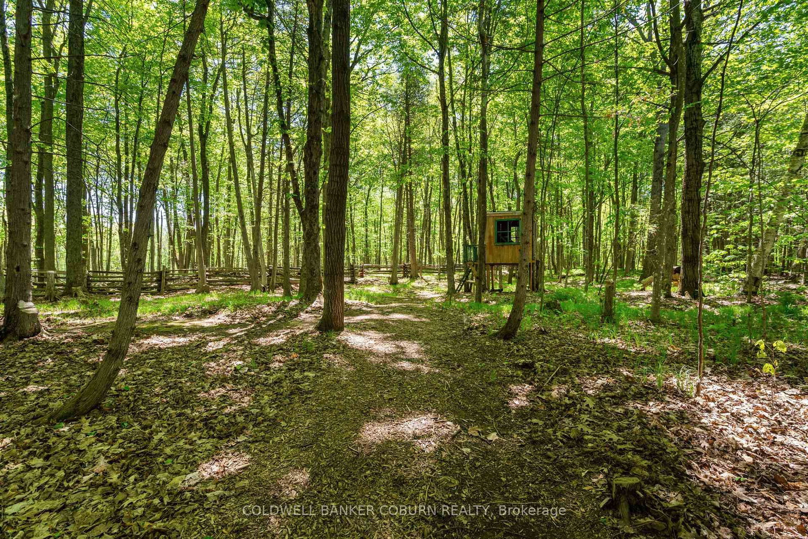 397 Burchill Road • Merrickville, ON photo 36