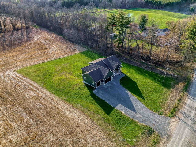 298 Tobacco Road