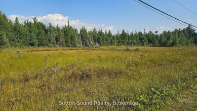 223 Bay Street — photo 3