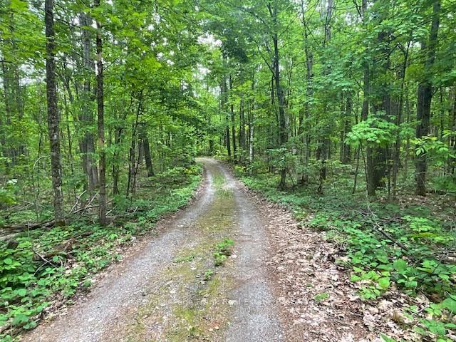 2848 County Road 36 • Trent Lakes, ON photo 33