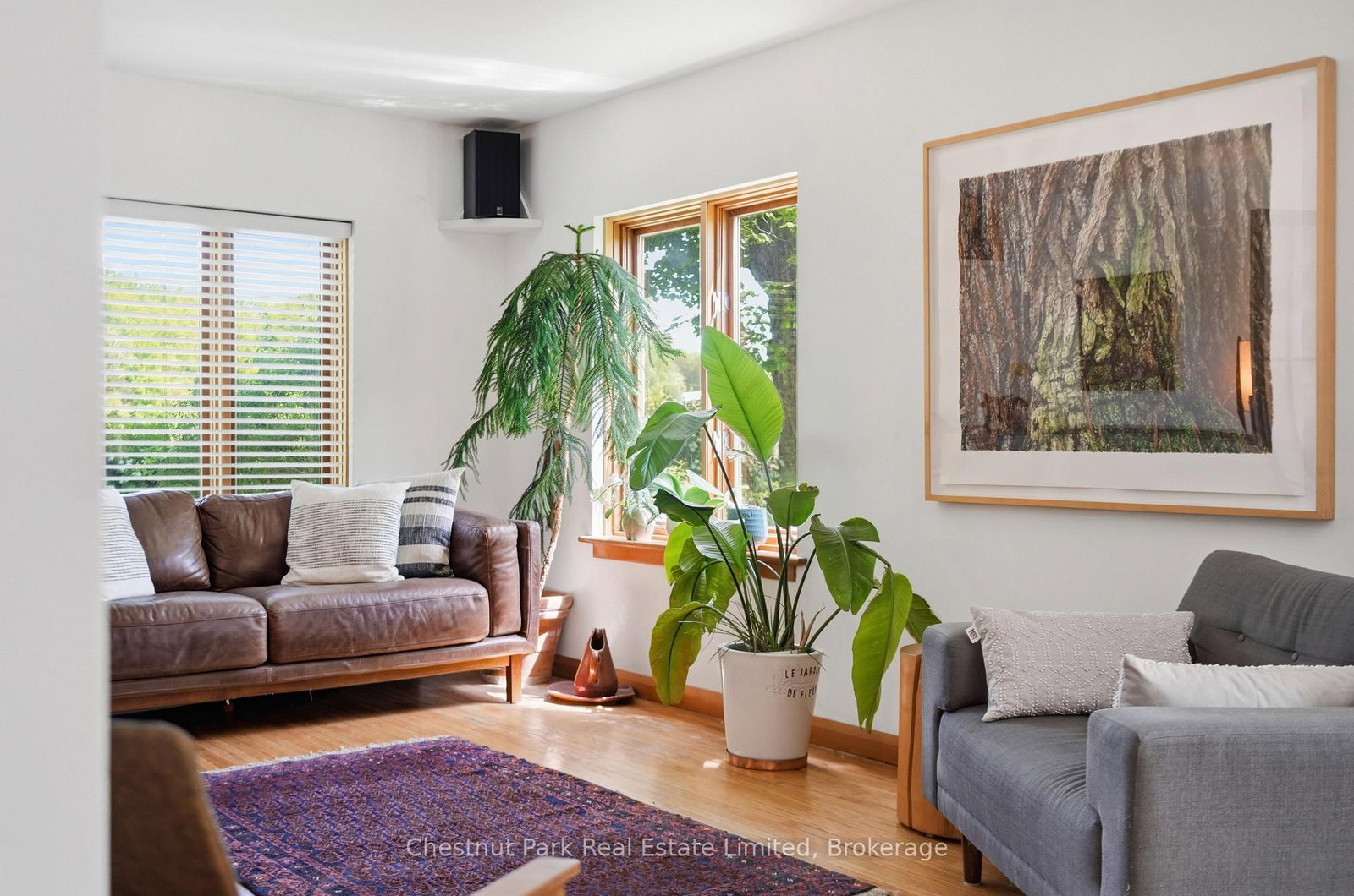 352 County Road 10 • Prince Edward County, ON photo 16