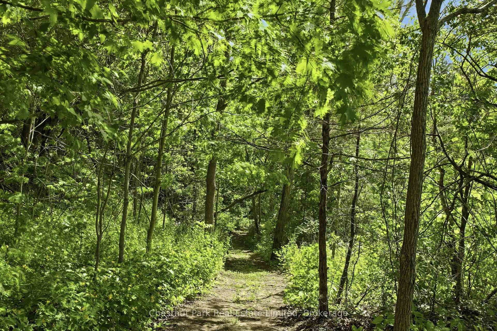 352 County Road 10 • Prince Edward County, ON photo 45