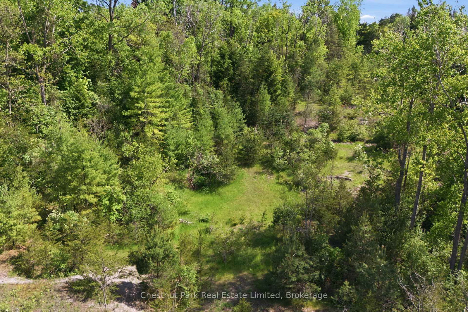 352 County Road 10 • Prince Edward County, ON photo 47