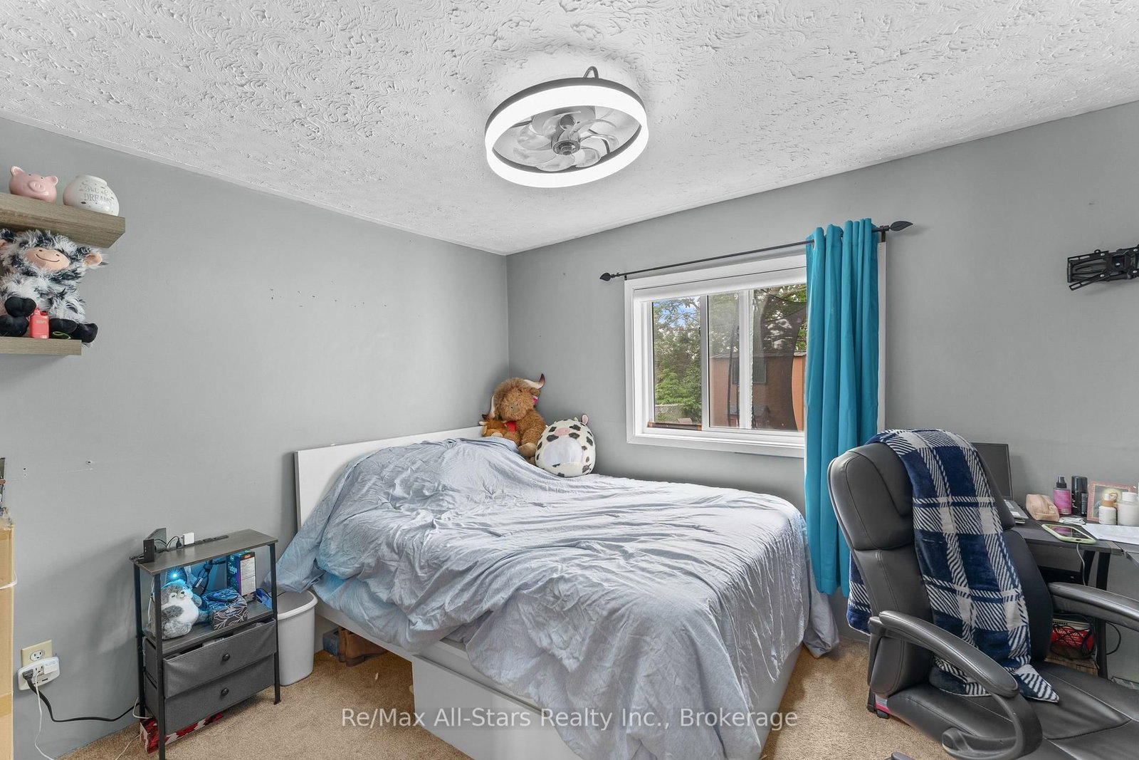 13 Eva Street • Kawartha Lakes, ON photo 21