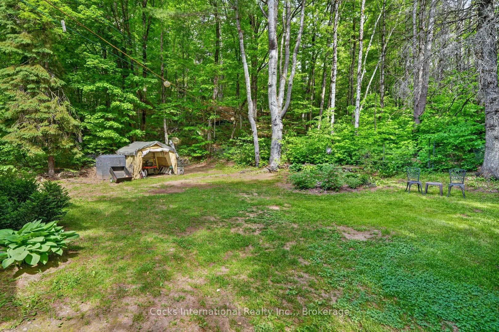 306 Highway 141 Highway • Huntsville, ON photo 42