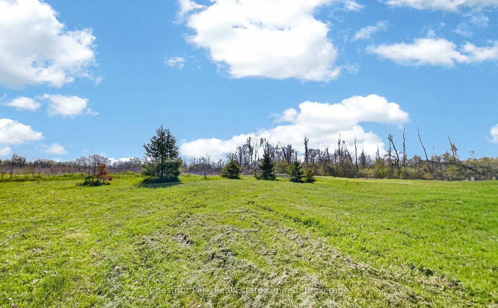 1092 Huycks Point Road • Prince Edward County, ON photo 8