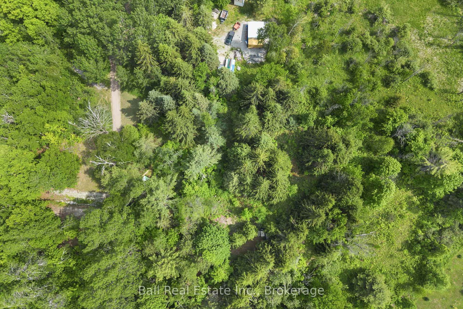 1021 Spencer's Trail • Highlands East, ON photo 35