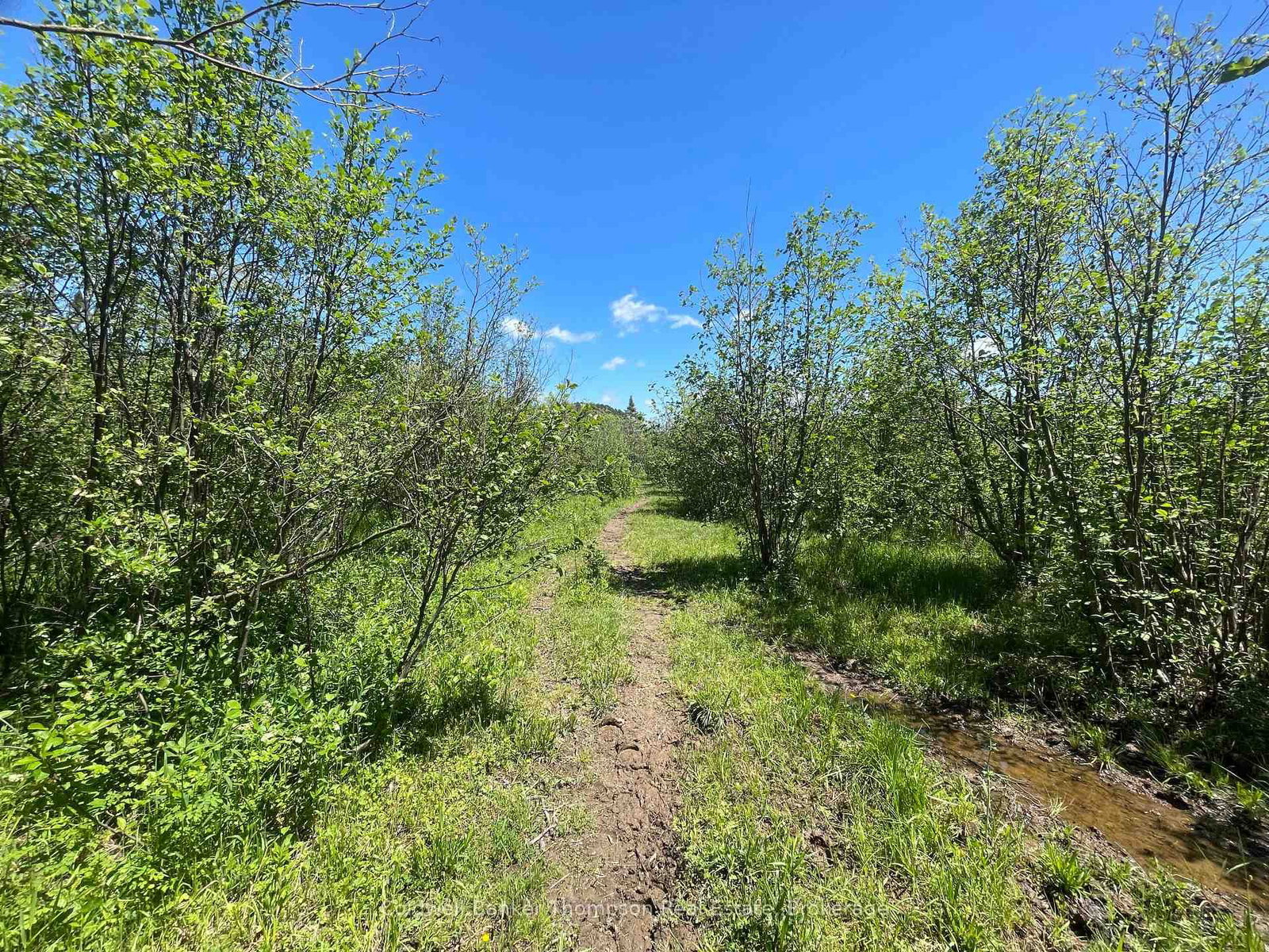 1202 Eagle Lake Road • Machar, ON photo 32