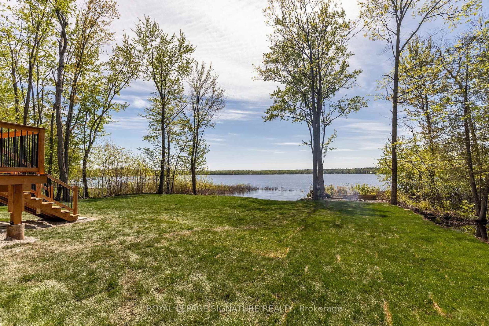 35 Young Street • Kawartha Lakes, ON photo 19