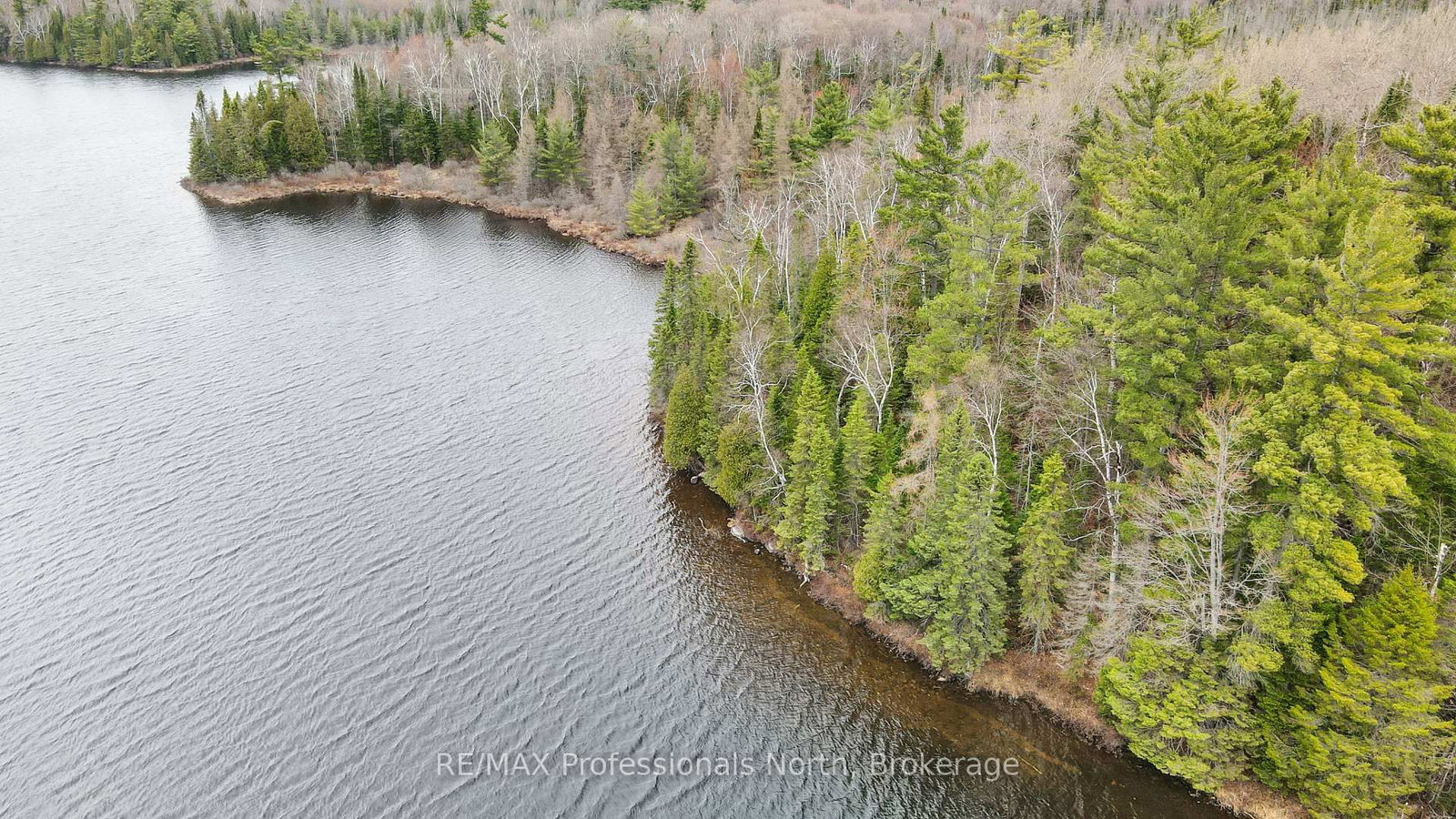 0 Chelmford Road • Highlands East, ON photo 10