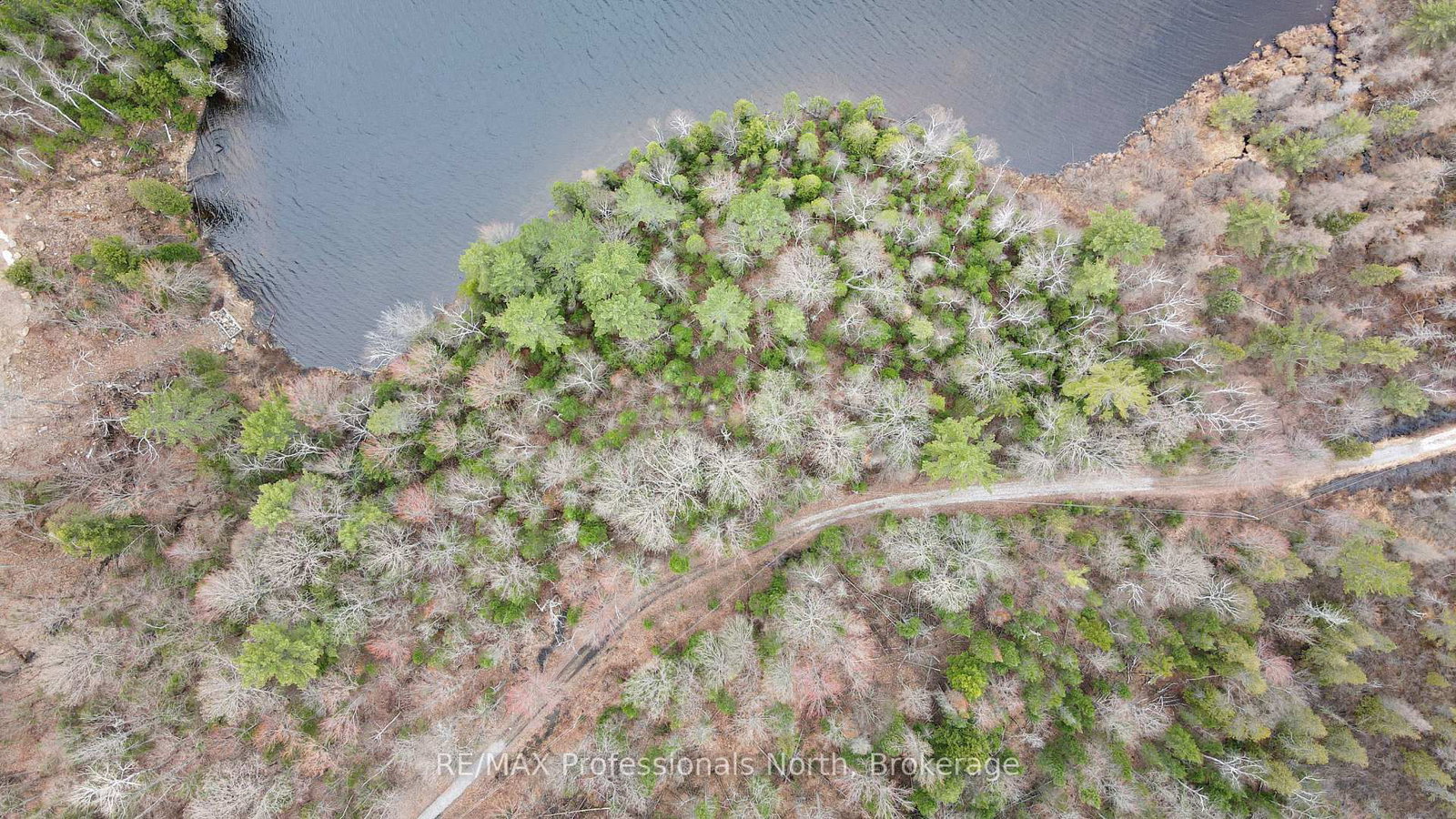 0 Chelmford Road • Highlands East, ON photo 6