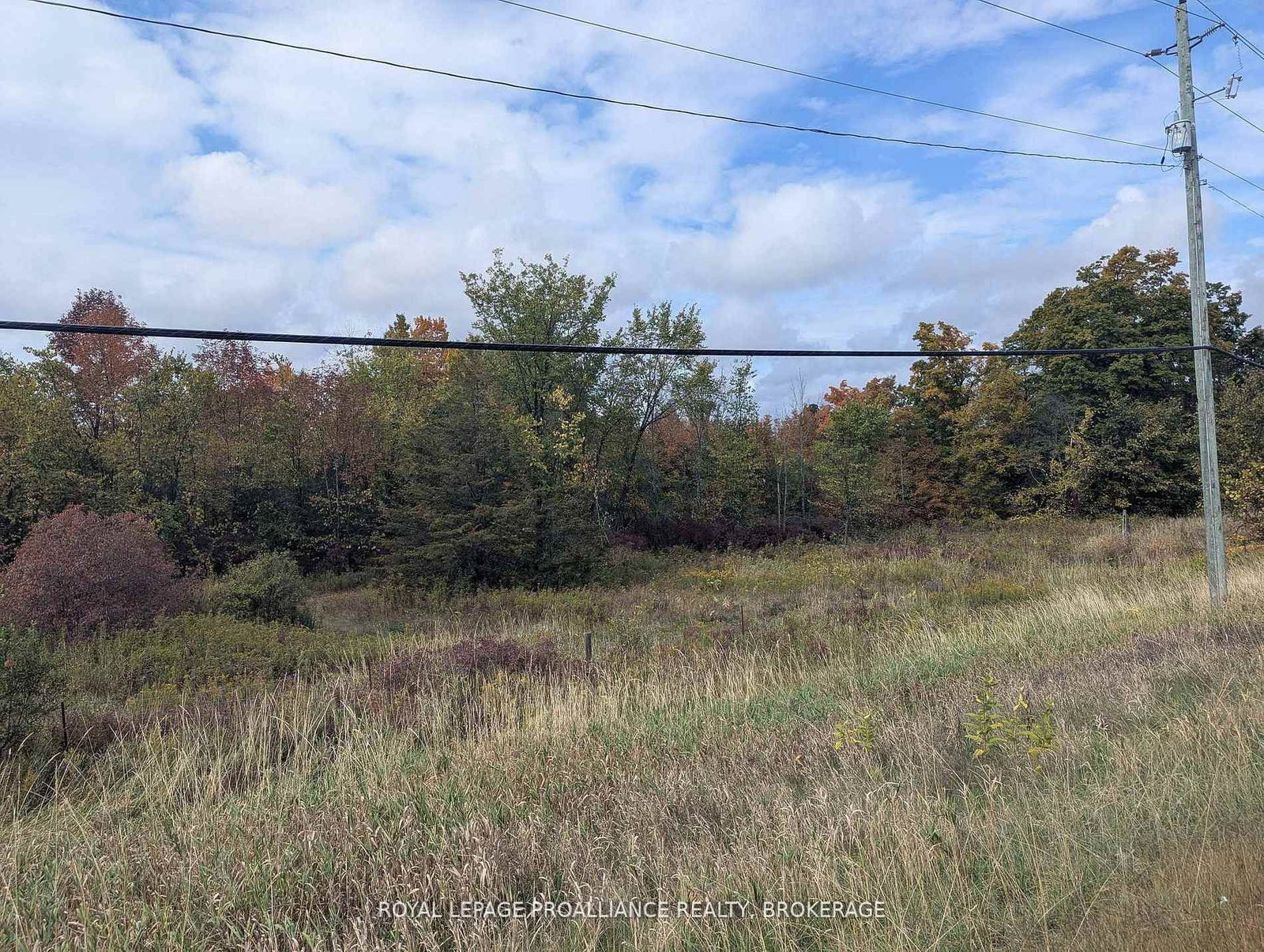 Lot 34 Leo Lake Road • Seeley's Bay, ON photo 10