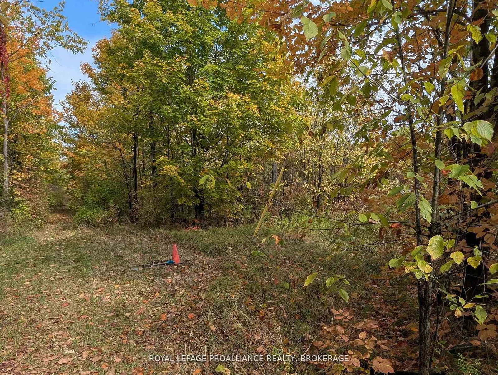 Lot 34 Leo Lake Road • Seeley's Bay, ON photo 11