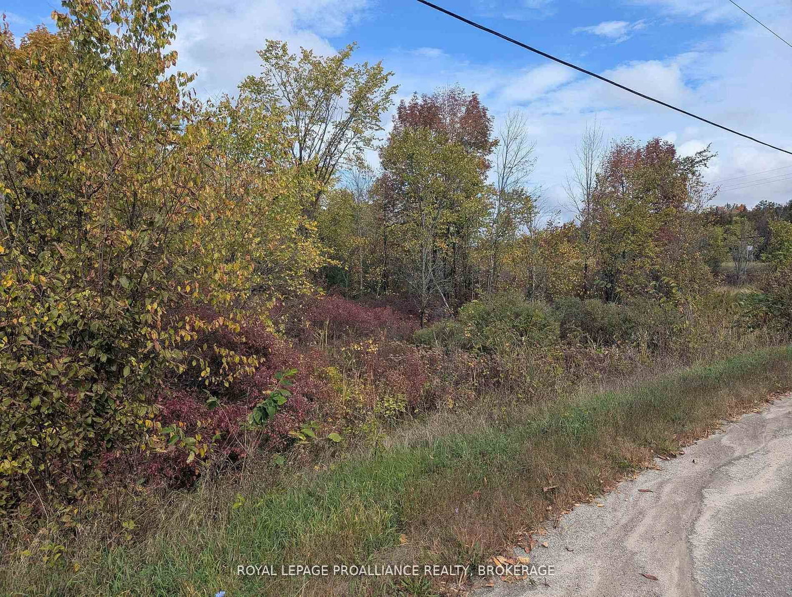 Lot 34 Leo Lake Road • Seeley's Bay, ON photo 13