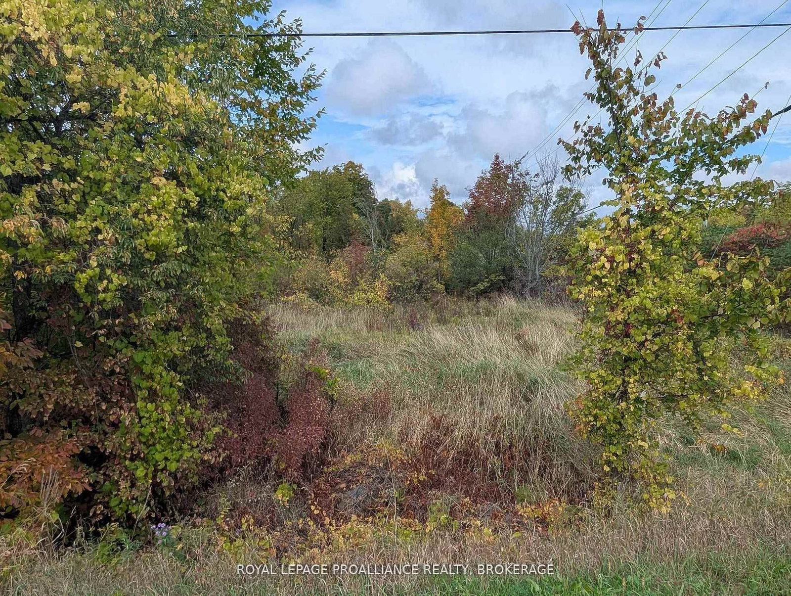 Lot 34 Leo Lake Road • Seeley's Bay, ON photo 14