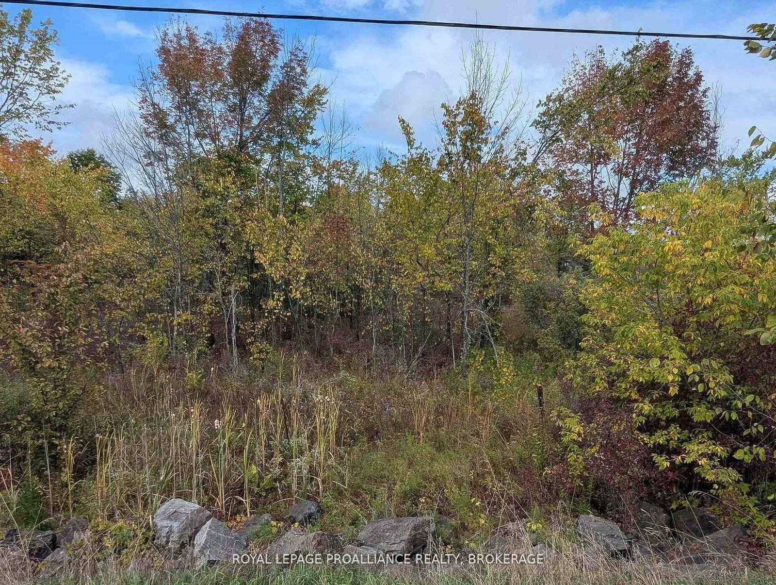 Lot 34 Leo Lake Road • Seeley's Bay, ON photo 15