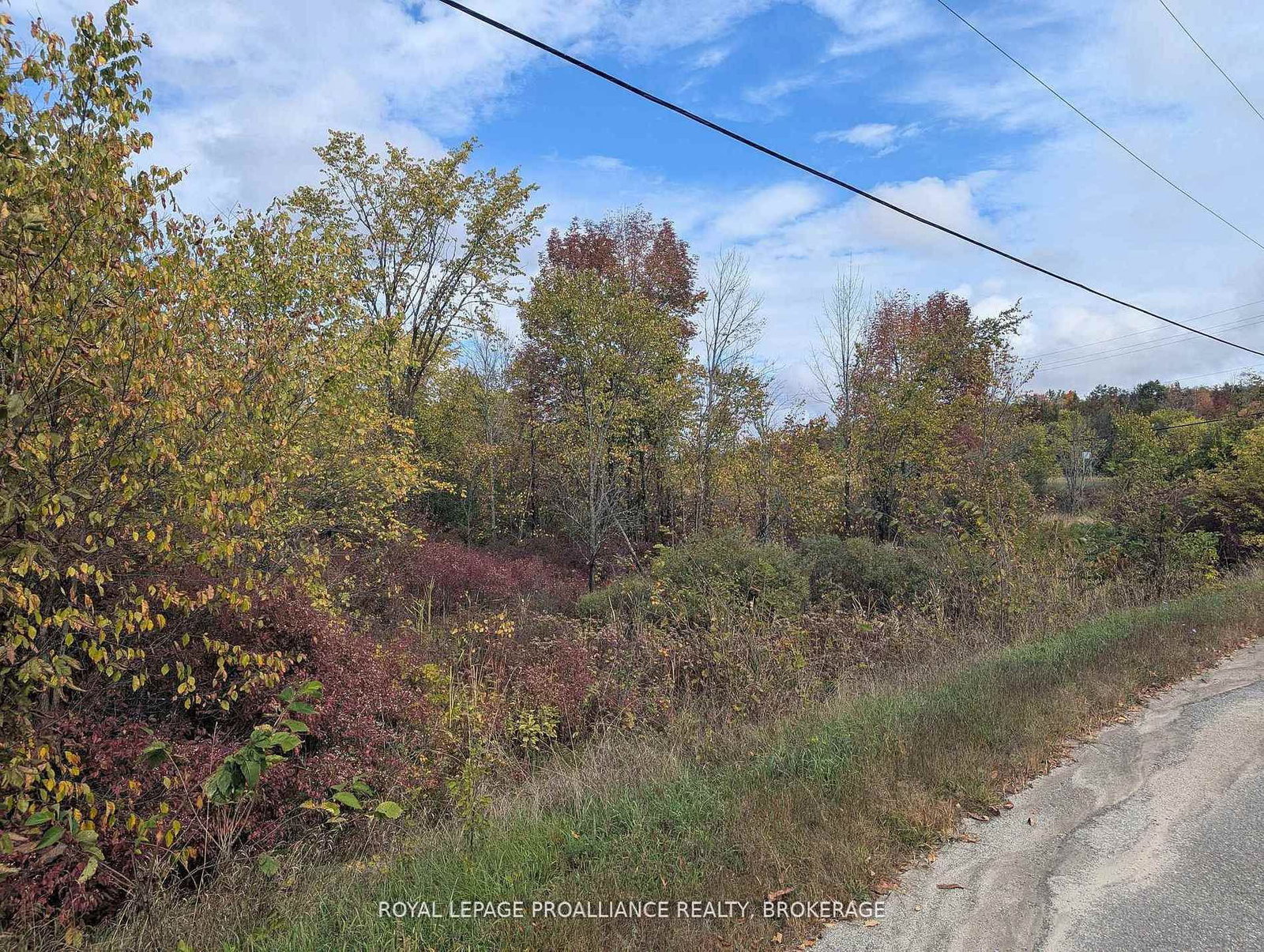 Lot 34 Leo Lake Road • Seeley's Bay, ON photo 16