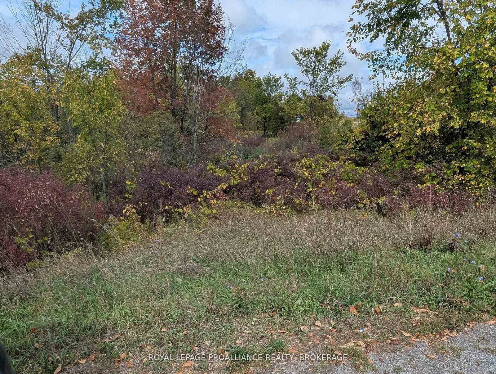 Lot 34 Leo Lake Road • Seeley's Bay, ON photo 17