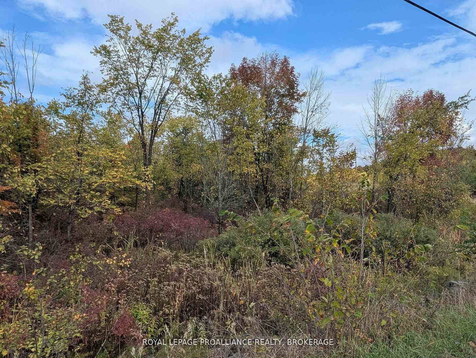 Lot 34 Leo Lake Road • Seeley's Bay, ON photo 18