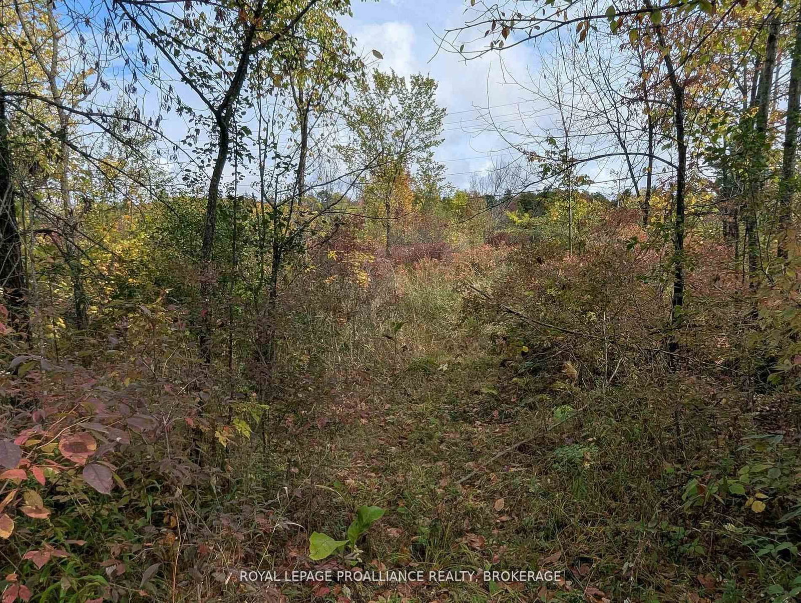 Lot 34 Leo Lake Road • Seeley's Bay, ON photo 19