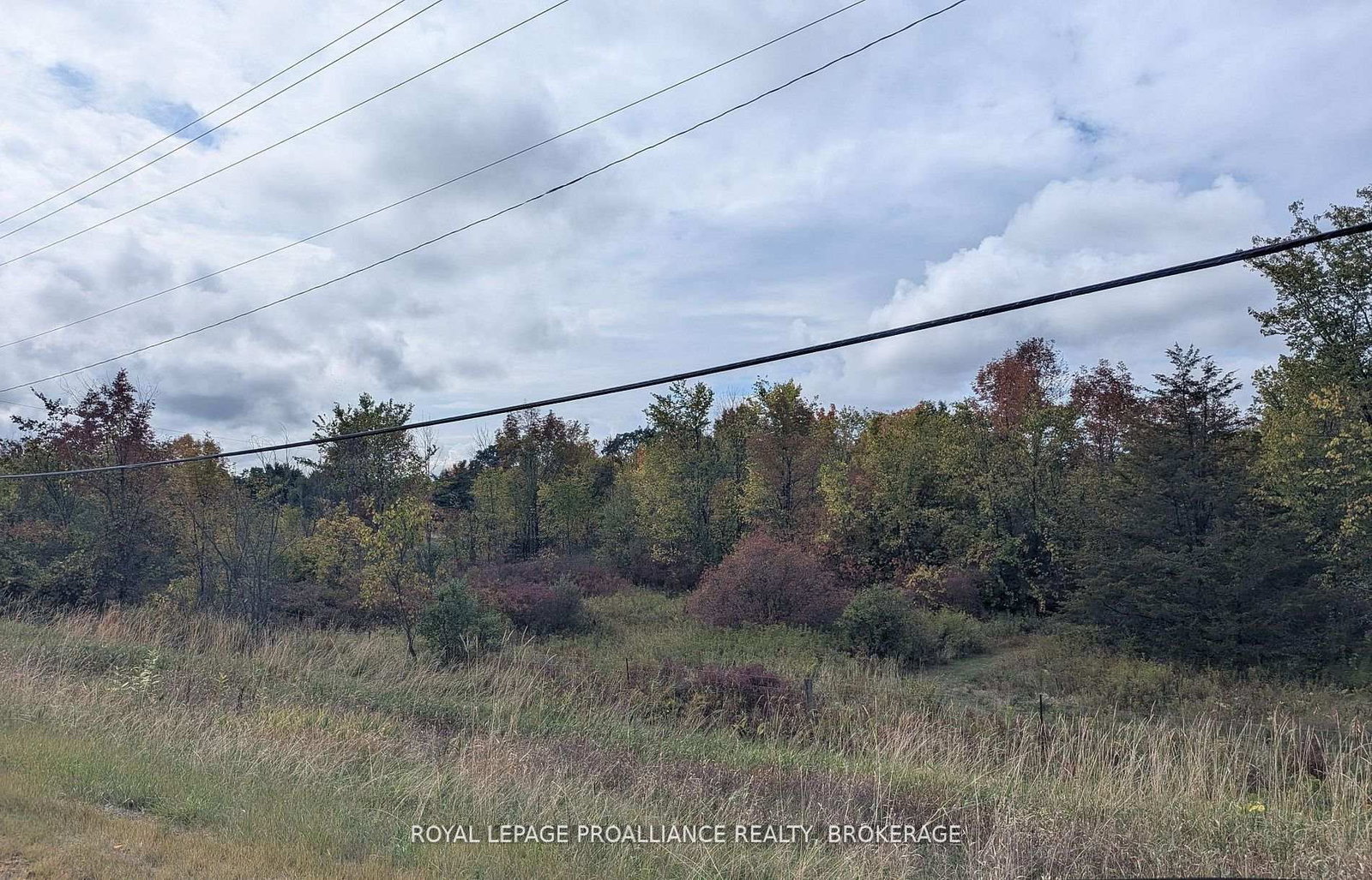 Lot 34 Leo Lake Road • Seeley's Bay, ON photo 2