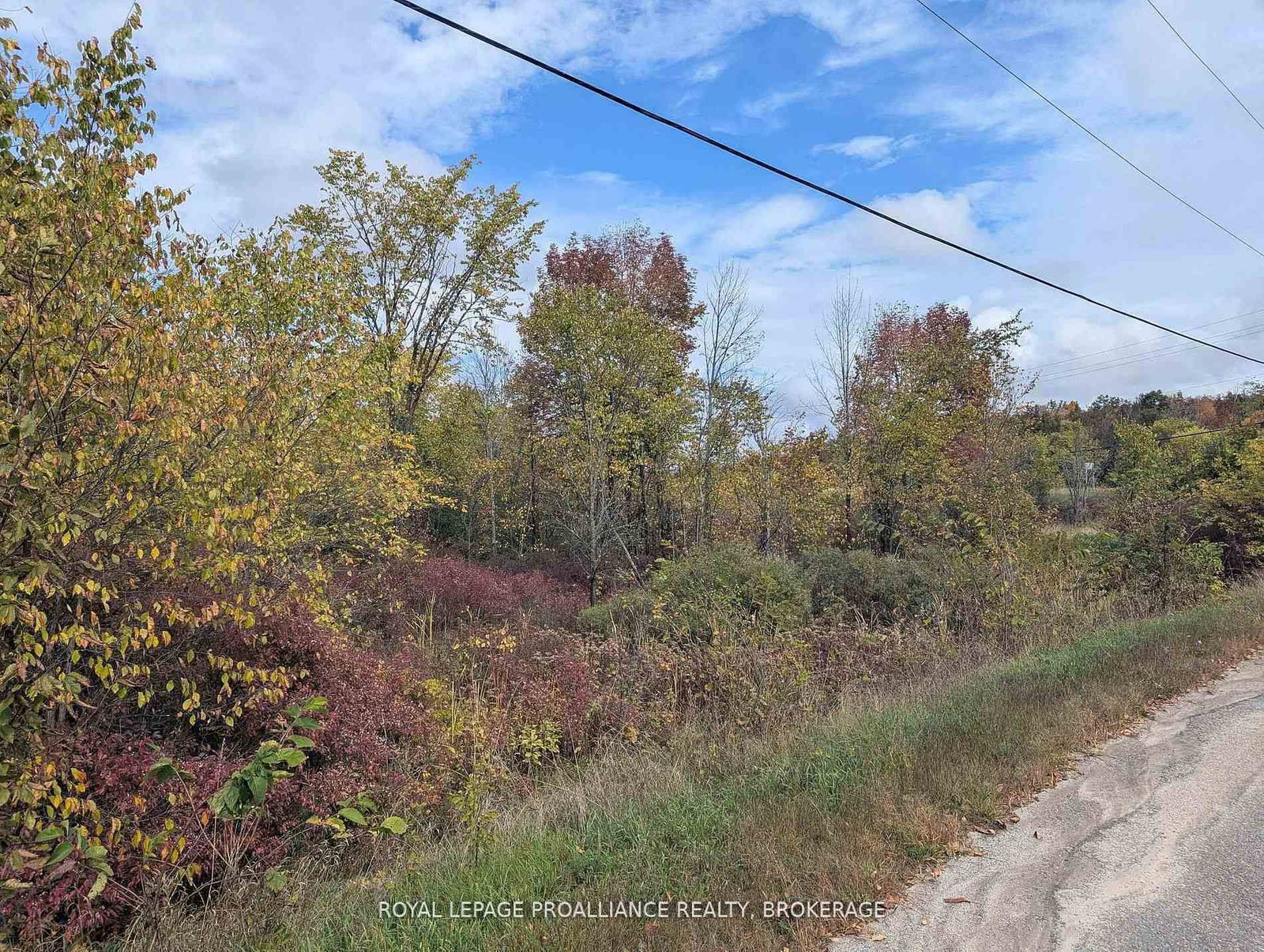 Lot 34 Leo Lake Road • Seeley's Bay, ON photo 20