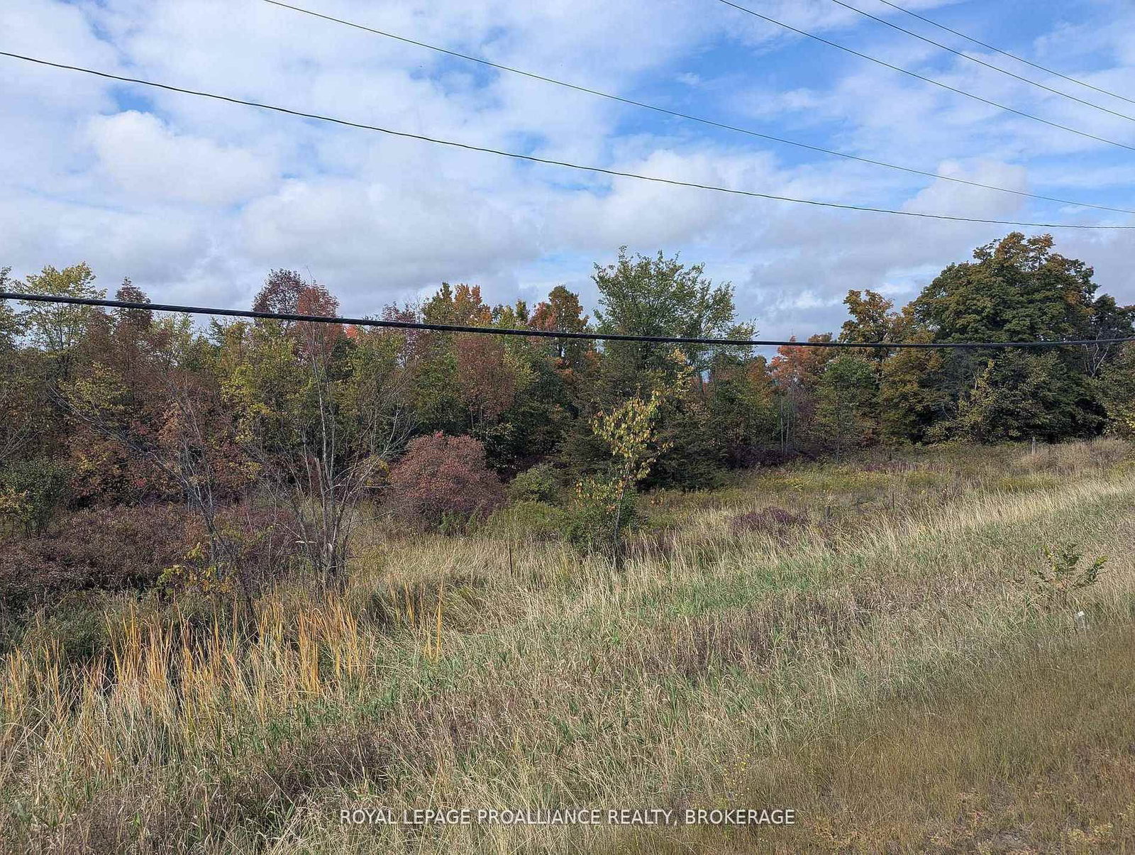 Lot 34 Leo Lake Road • Seeley's Bay, ON photo 21